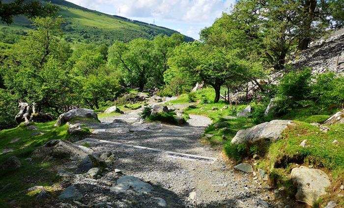 Path at Coedydd Aber National Nature Reserve